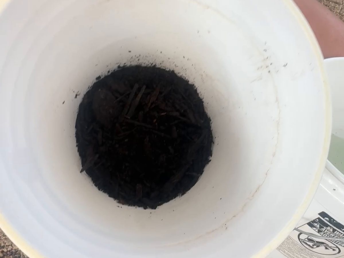 Dark, finished Bio-Complete Soil in a bucket, ready to brew